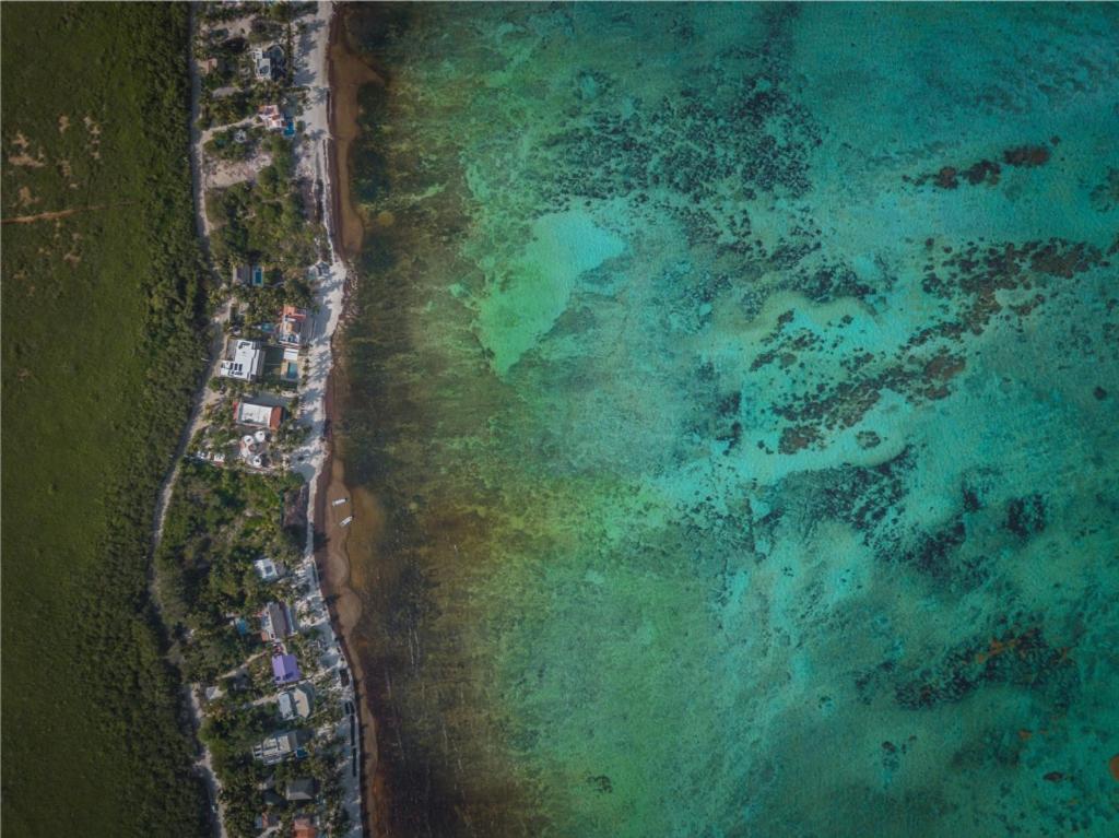 Aparthotel Ebb Ti Kaan Tulum-Luxury Condos- Eksteriør bilde